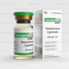 testogam c 10mlx200mg